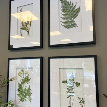 Mirrors & Prints